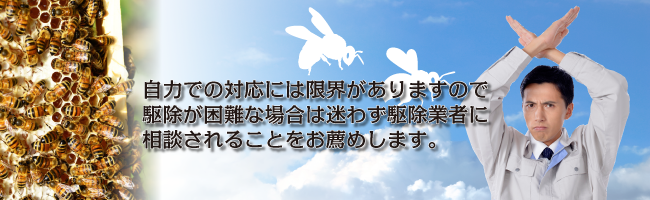 蜂への注意