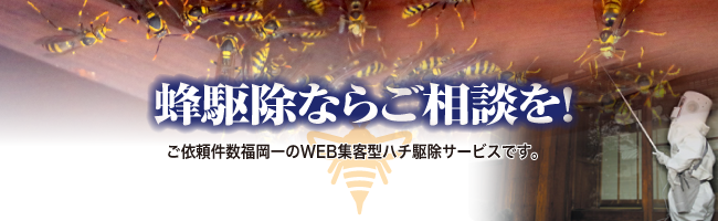 蜂駆除イメージ
