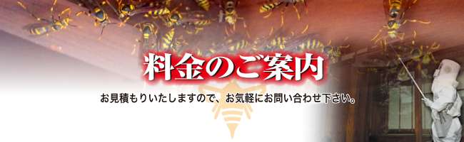 蜂駆除料金案内